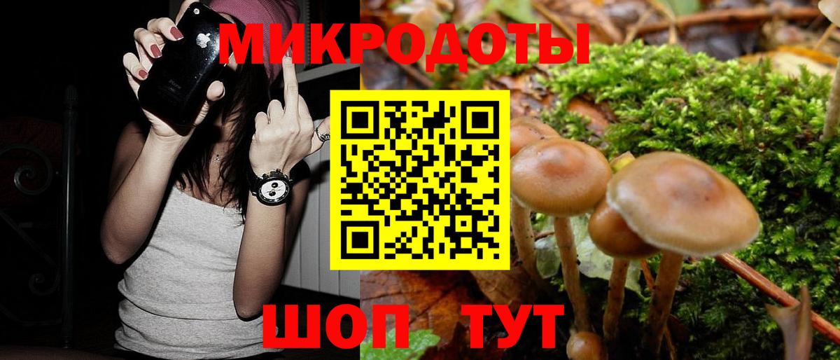 Кисловодск  Галлюциногенные грибы Magic Shrooms  Вход с VPN  что такое наркотик  Галлюциногенные грибы Cubensis 